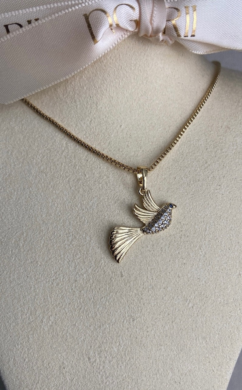 PIGEON CHAIN